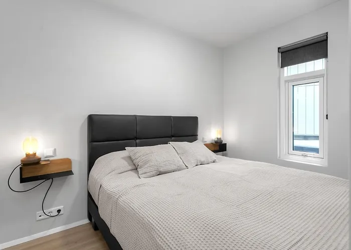 Grandinn Luxury Apartment In Downtown Reykjavik
